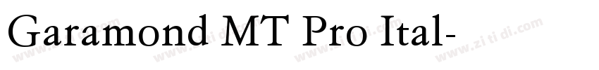 Garamond MT Pro Ital字体转换
